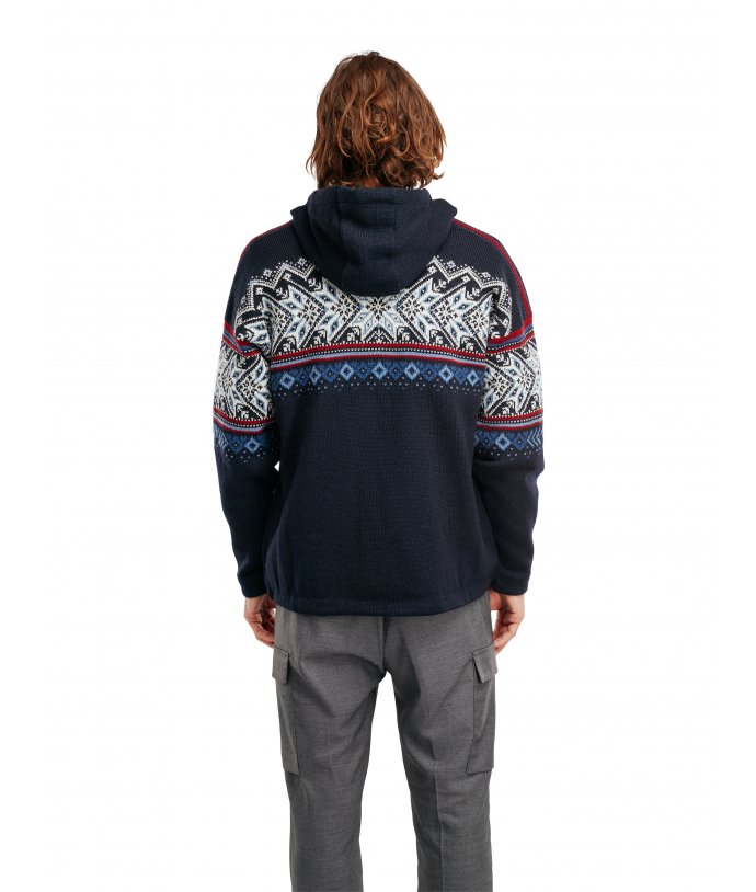 Pánský větruodolný svetr s kapucí Vail WP Dale